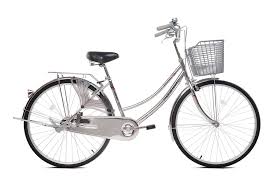 Xe đạp phổ thông